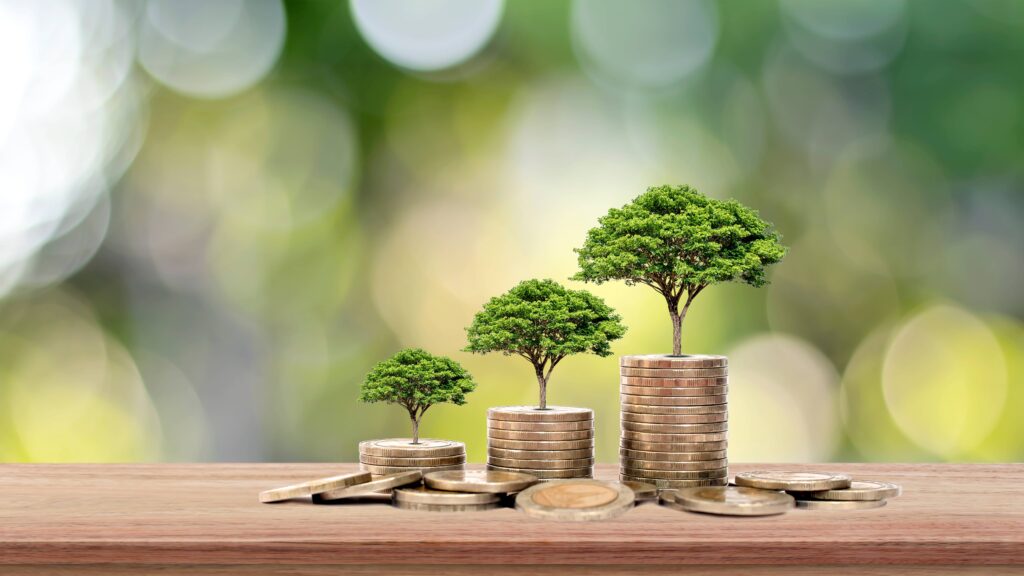 The Tree Grows On A Stack Of Money