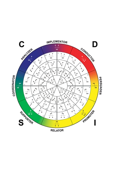 DISC Team Performance